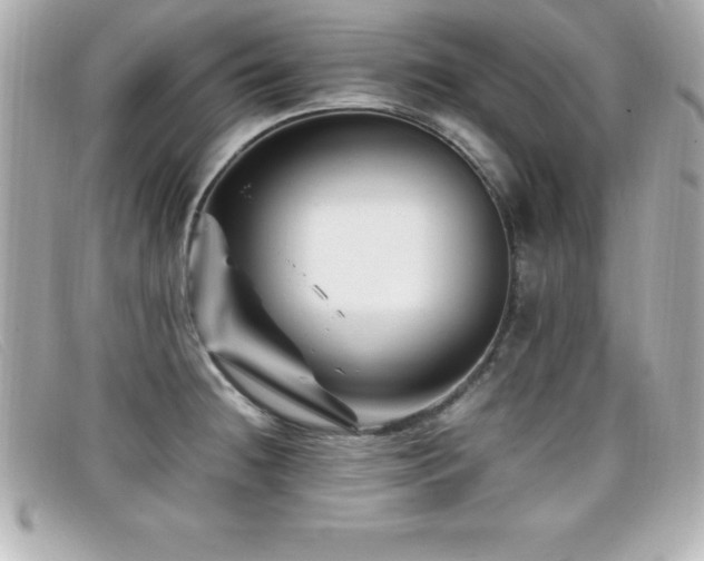 X0000099471236200805091540