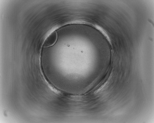 X0000099471237200805091540