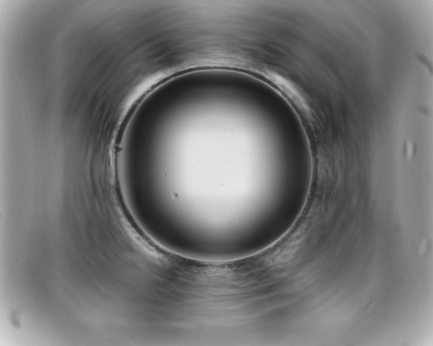 X0000099471238200805091540