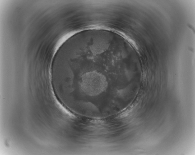 X0000099471239200805091540