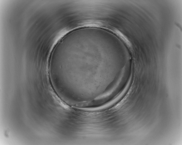 X0000099471240200805091540