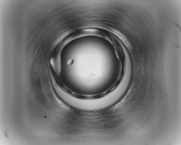 X0000099471241200805091540