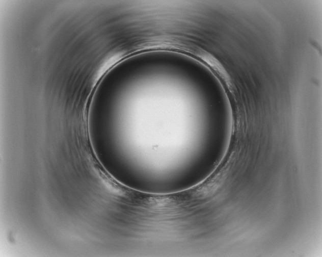 X0000099471242200805091540