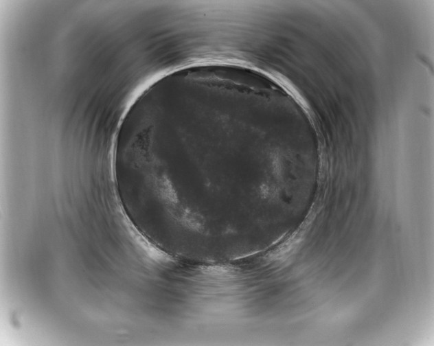 X0000099471246200805091540