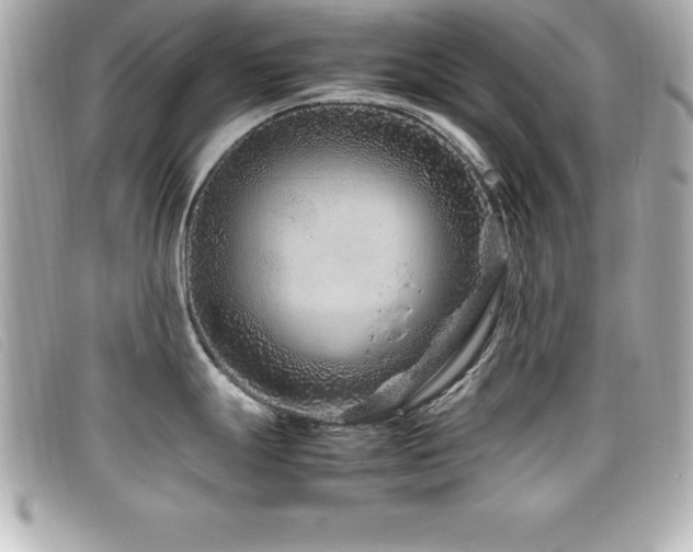 X0000099471247200805091540