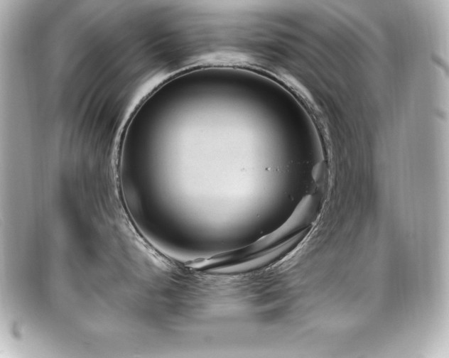 X0000099471248200805091540