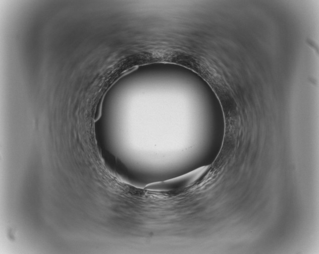 X0000099471249200805091540