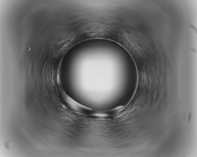 X0000099471250200805091540
