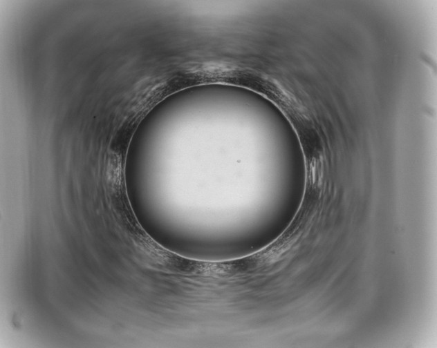 X0000099471251200805091540