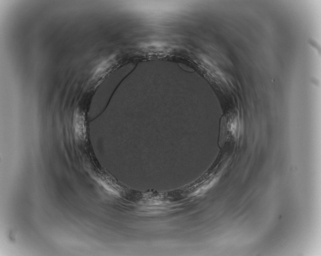 X0000099471252200805091540