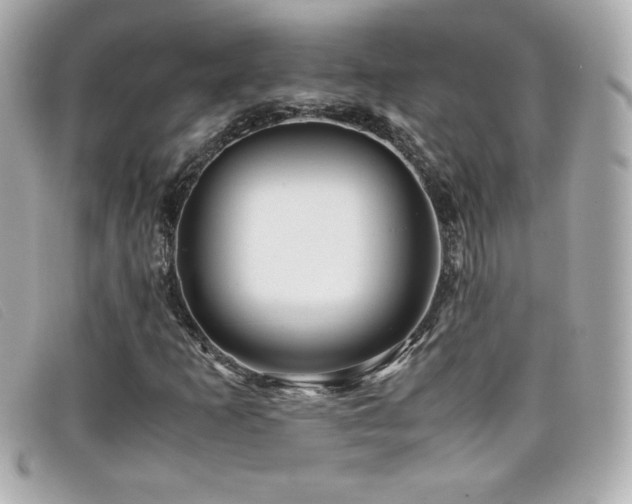 X0000099471253200805091540