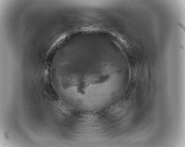 X0000099471254200805091540