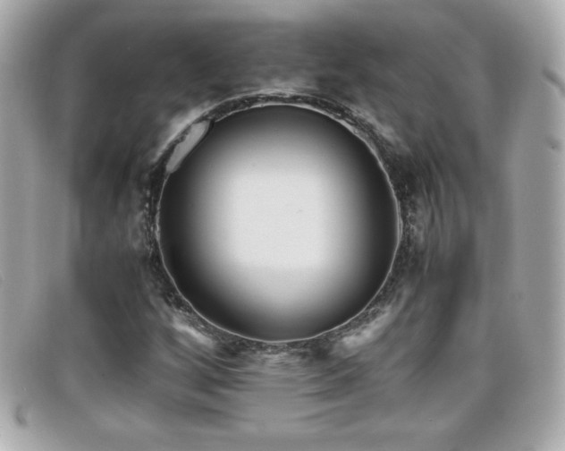 X0000099471256200805091540