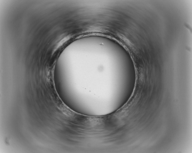 X0000099471258200805091540