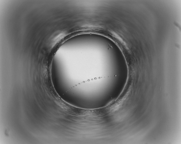 X0000099471259200805091540