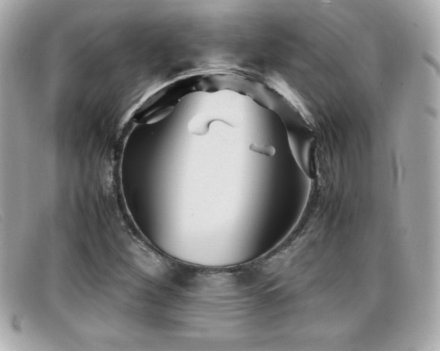 X0000099471260200805091540