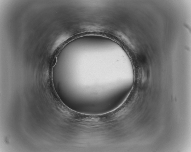 X0000099471261200805091540