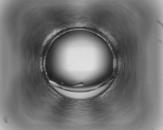 X0000099471262200805091540