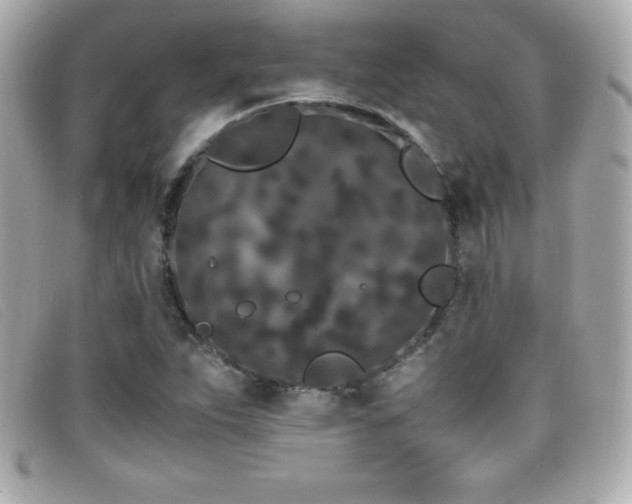 X0000099471263200805091540