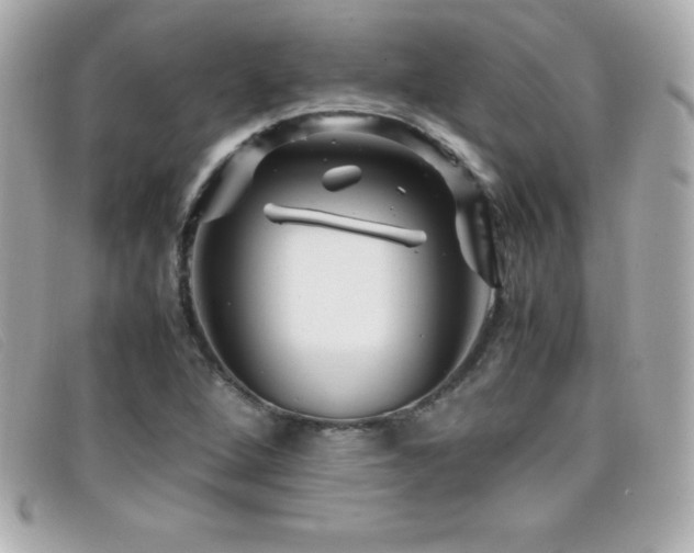 X0000099471264200805091540