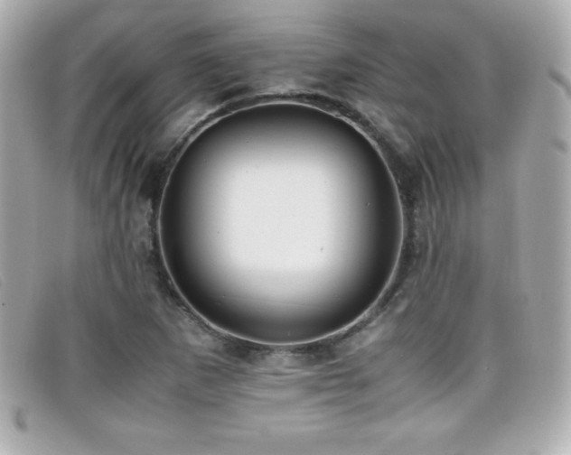 X0000099471265200805091539