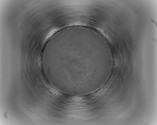 X0000099471266200805091539