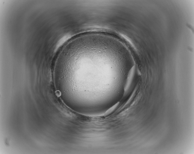 X0000099471267200805091539