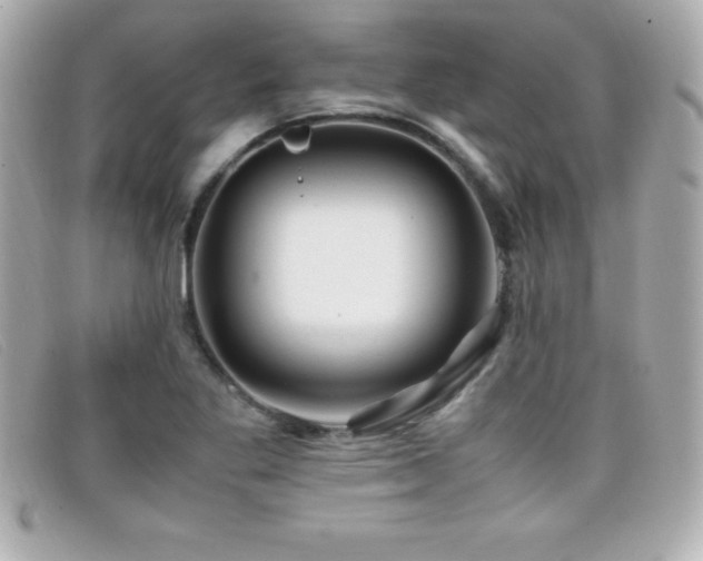 X0000099471269200805091539