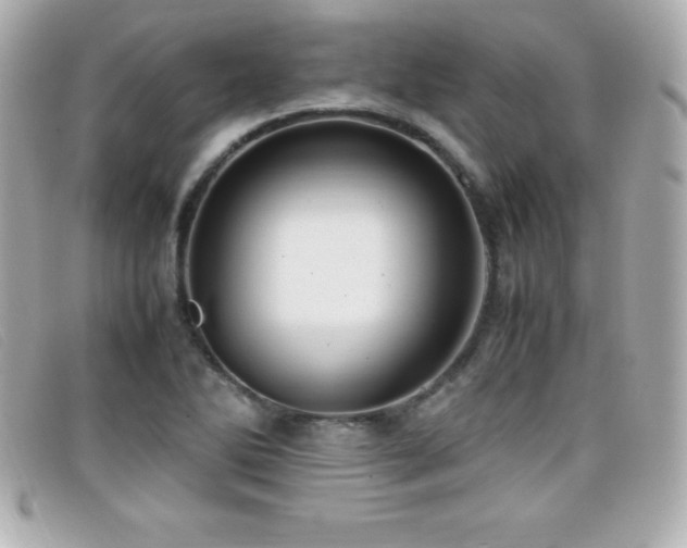 X0000099471270200805091539