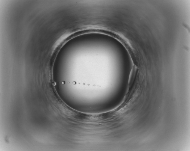 X0000099471271200805091539