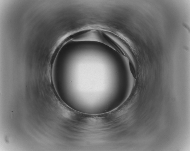 X0000099471272200805091539
