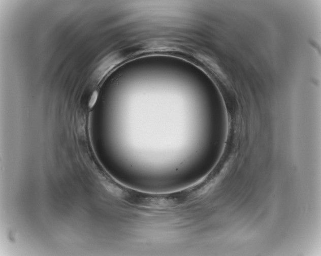 X0000099471273200805091539