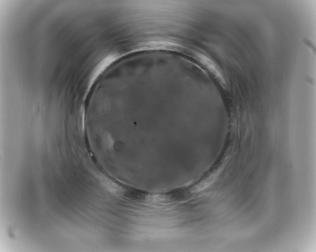 X0000099471275200805091539