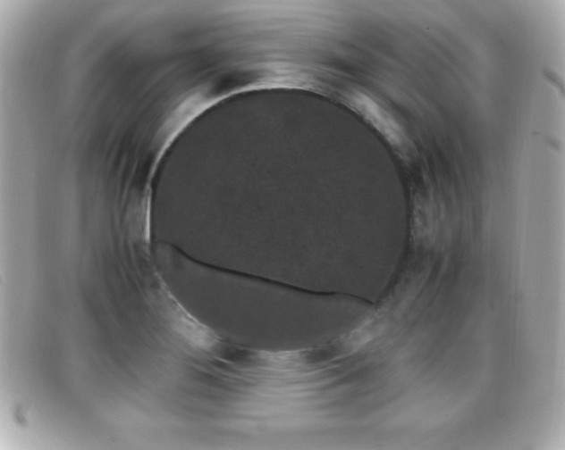 X0000099471276200805091539