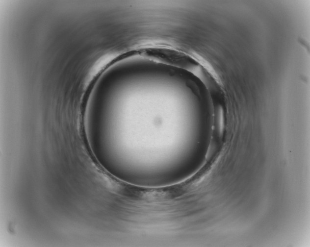 X0000099471277200805091539