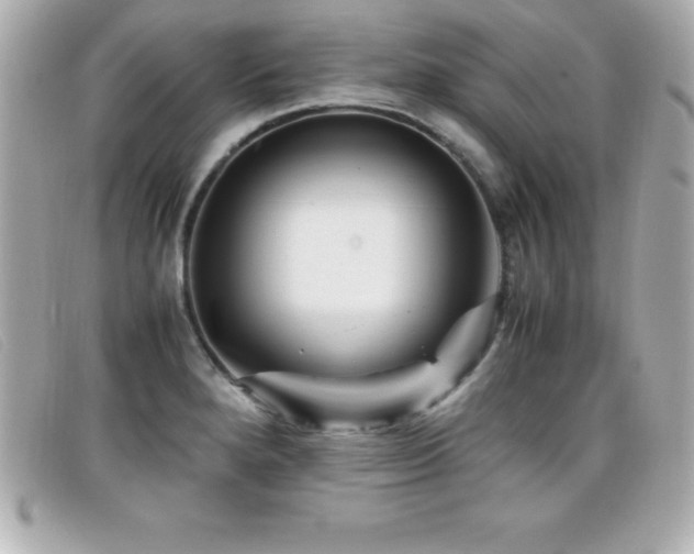 X0000099471280200805091539