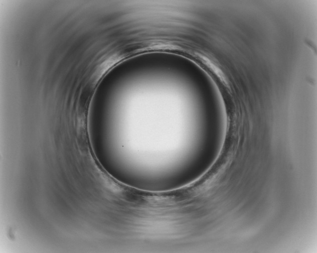 X0000099471281200805091539