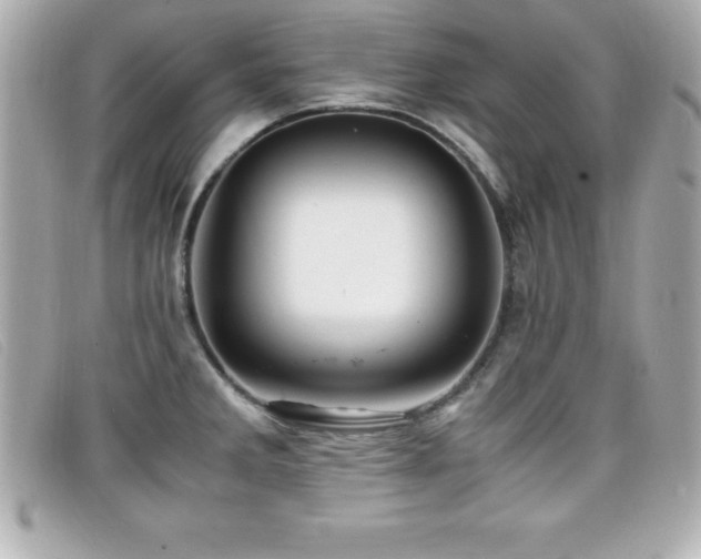 X0000099471285200805091539
