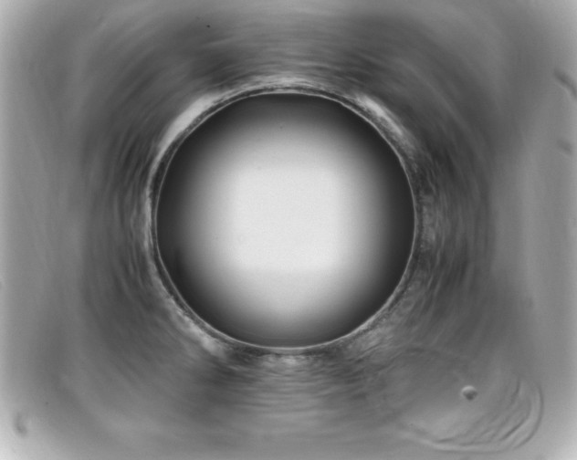 X0000099471286200805091539