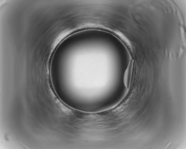 X0000099471287200805091539