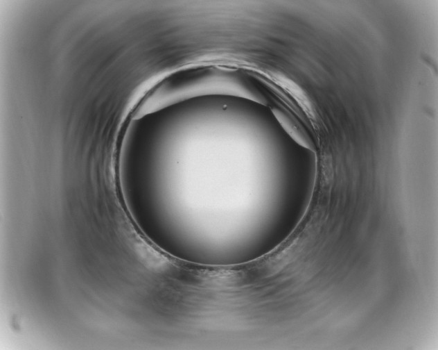 X0000099471288200805091539