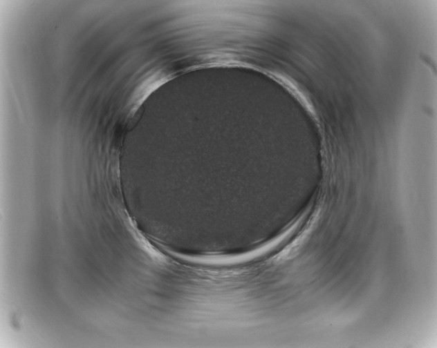 X0000099471289200805091539