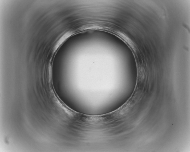 X0000099471290200805091539