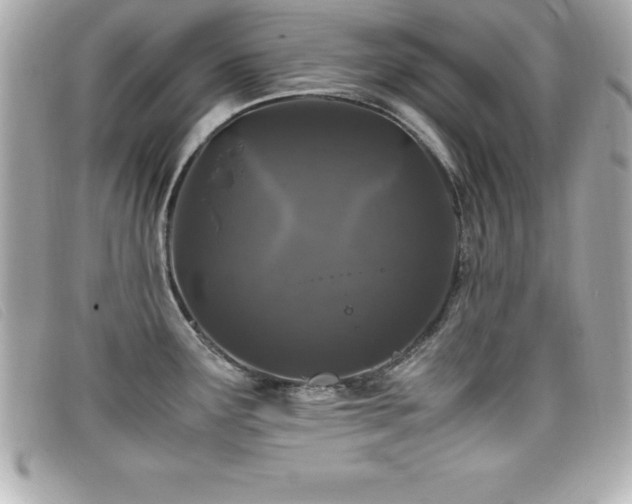 X0000099471291200805091539