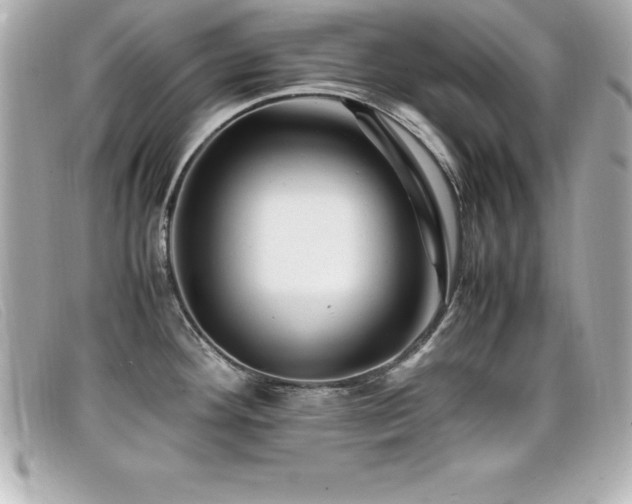 X0000099471292200805091539
