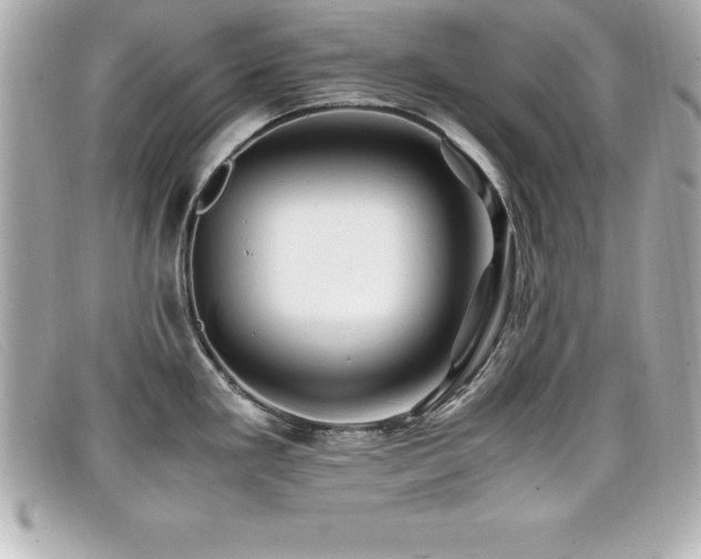 X0000099471293200805091539