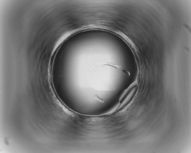 X0000099471294200805091539