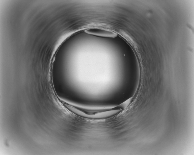 X0000099471296200805091539