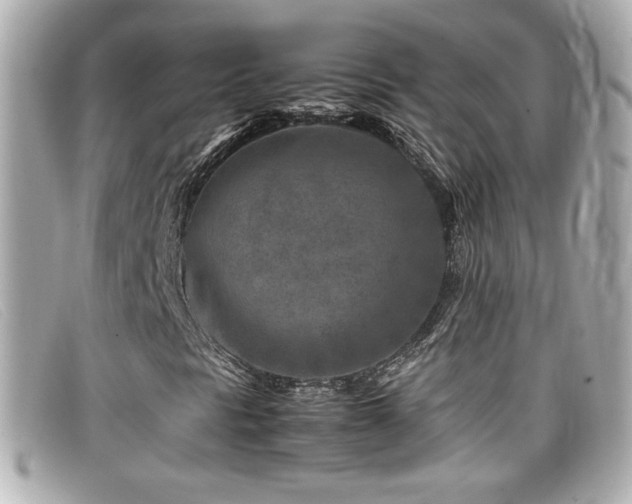 X0000099471297200805091538