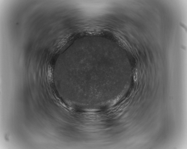 X0000099471298200805091538